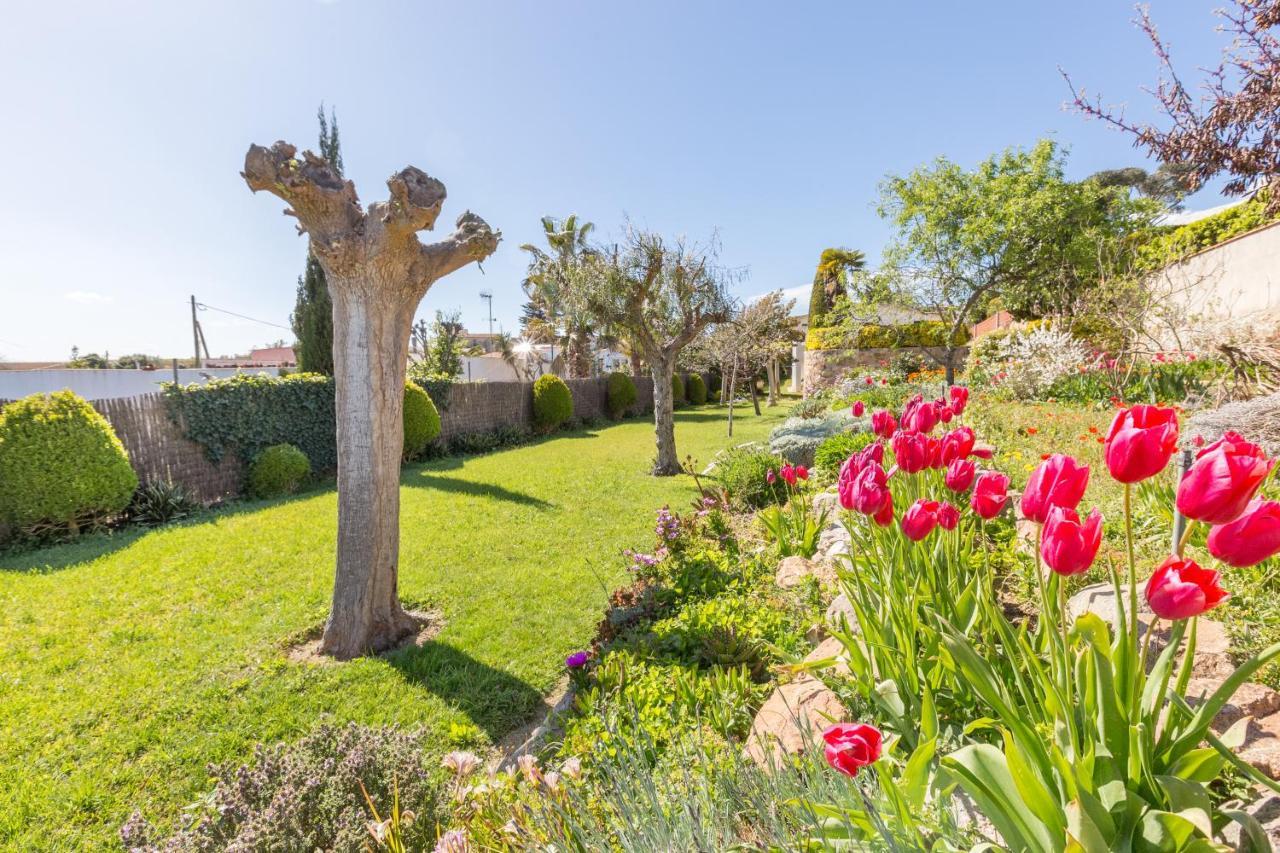 2Mg - Blanes Villa Exteriör bild